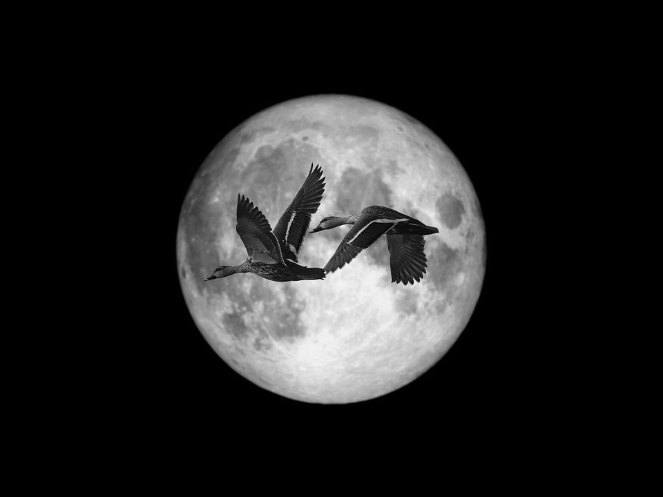 A small gray moon hanging above the curved horizon of a larger planet against a dark field of stars